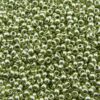 pērlītes N10 zaļas metāliskas "Green metallic" (25g) Čehija - j1566