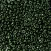 pērlītes N10 zaļganmelnas spīdīgas "Dark Green lustered" (25g) Čehija - j1335